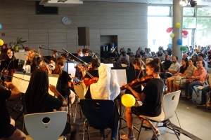 Streicherkonzert (12).JPG