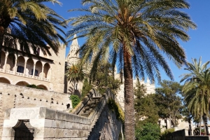 20180503_174127.jpg
