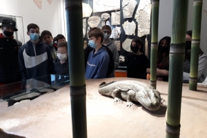 Foto 8d_Museum_2.jpg