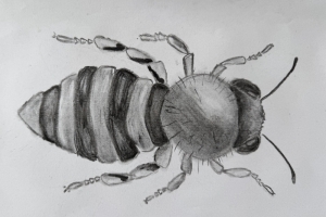 Entwurf für ein Relief Mahsima F.jpg