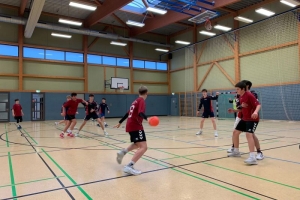 Handball 2 bea.jpg