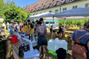 Forschen 4 bea.jpg