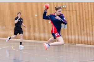 Handball (13).jpg