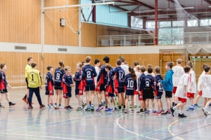 Handball (2).jpg