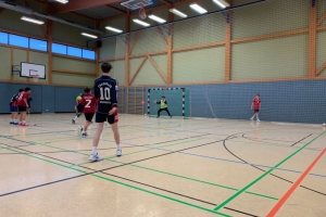 Handball 3 bea.jpg