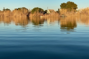 VLC_Albufera1.jpg