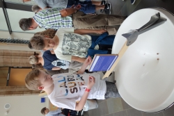 2017-06-27 Mathematikum 7b (190).JPG