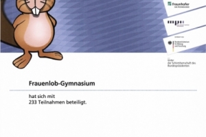 2018 Informatik Biber FLG.jpg