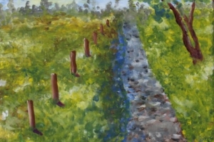 Caro Spörer (4).JPG