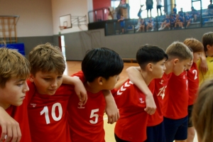 Handball am FLG (2).JPG