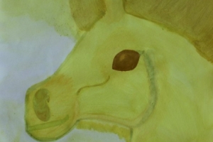 Lara Fereira Schmitt.JPG