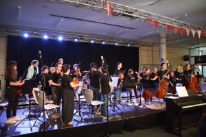 Streicherkonzert (7).JPG