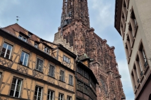 20250604_144950.jpg