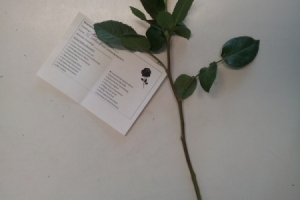 Valentinstag 3.jpg