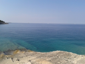 20170622_093012.jpg
