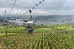 Rheingau 6.jpeg