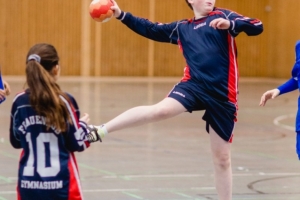 Handball (15).jpg