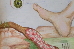 Surrealismus Aniko.jpg