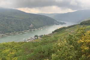 Rheingau 4.jpeg