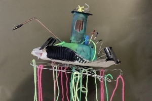 Unbekannte Flugobjekte 6d_01.jpg