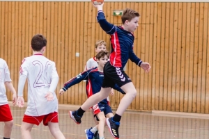 Handball (3).jpg