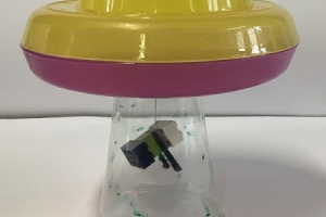 Unbekannte Flugobjekte 6d.jpg