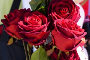 Valentinstag 1.JPG